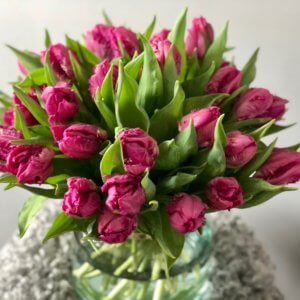 Mother's Day Parrot Tulips