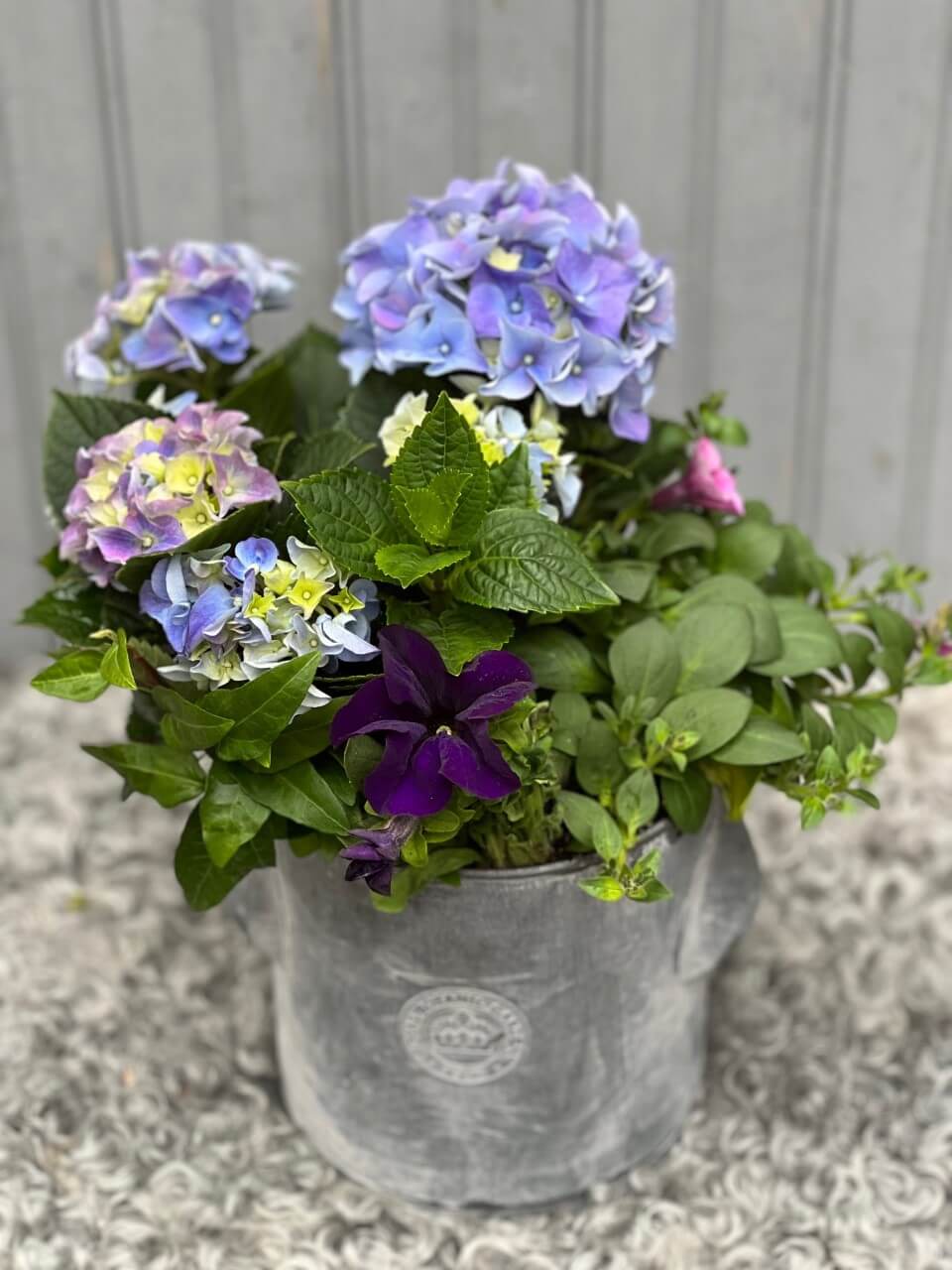 Chrome Planter
